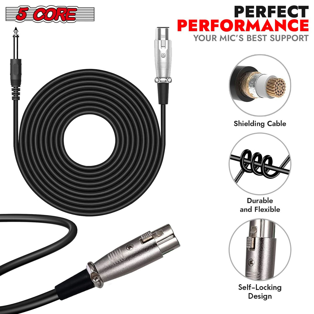 5 Core Singing Microphone: Handheld XLR dynamic mic for musicians and DJs.