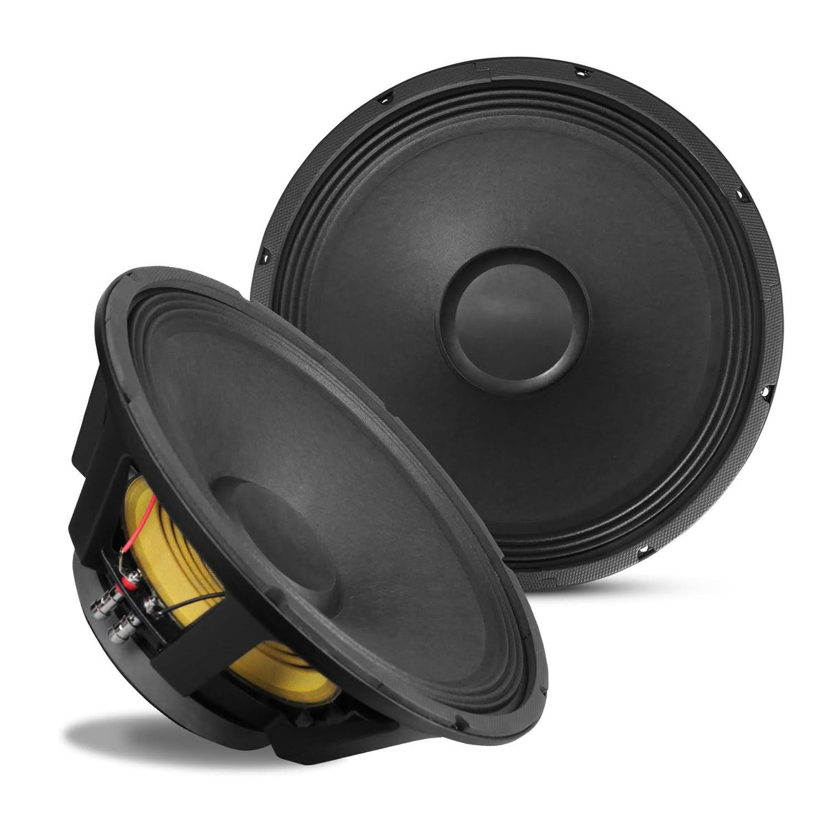 5 Core 15 Inch Full Range Subwoofer Speaker Heavy Duty Frame View