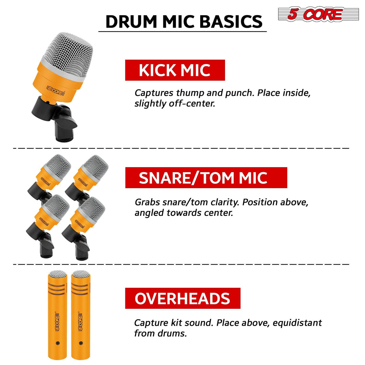Professional microphone set with a sturdy lock/unlock carry case for protection.