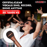 5Core XLR Microphone Dynamic Mic Karaoke Singing Studio Microfono Handheld Mics