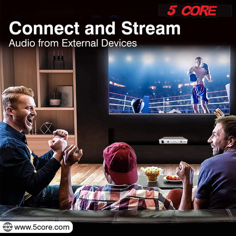 5Core Wireless Microphones w 2 Headset Portable Mini Microfono Inalambricos + Receiver 165ft Range