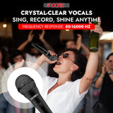 5Core XLR Microphone Dynamic Mic Karaoke Singing Studio Microfono Handheld Mics