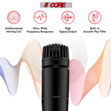 5Core XLR Microphone Dynamic Mic Karaoke Singing Studio Microfono Handheld Mics