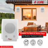 High-quality 5Core speakers with passive design for custom installs