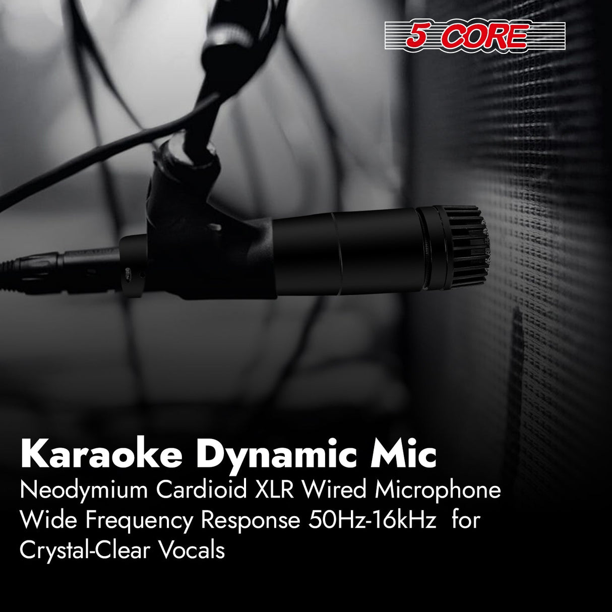 5Core XLR Microphone Dynamic Mic Karaoke Singing Studio Microfono Handheld Mics