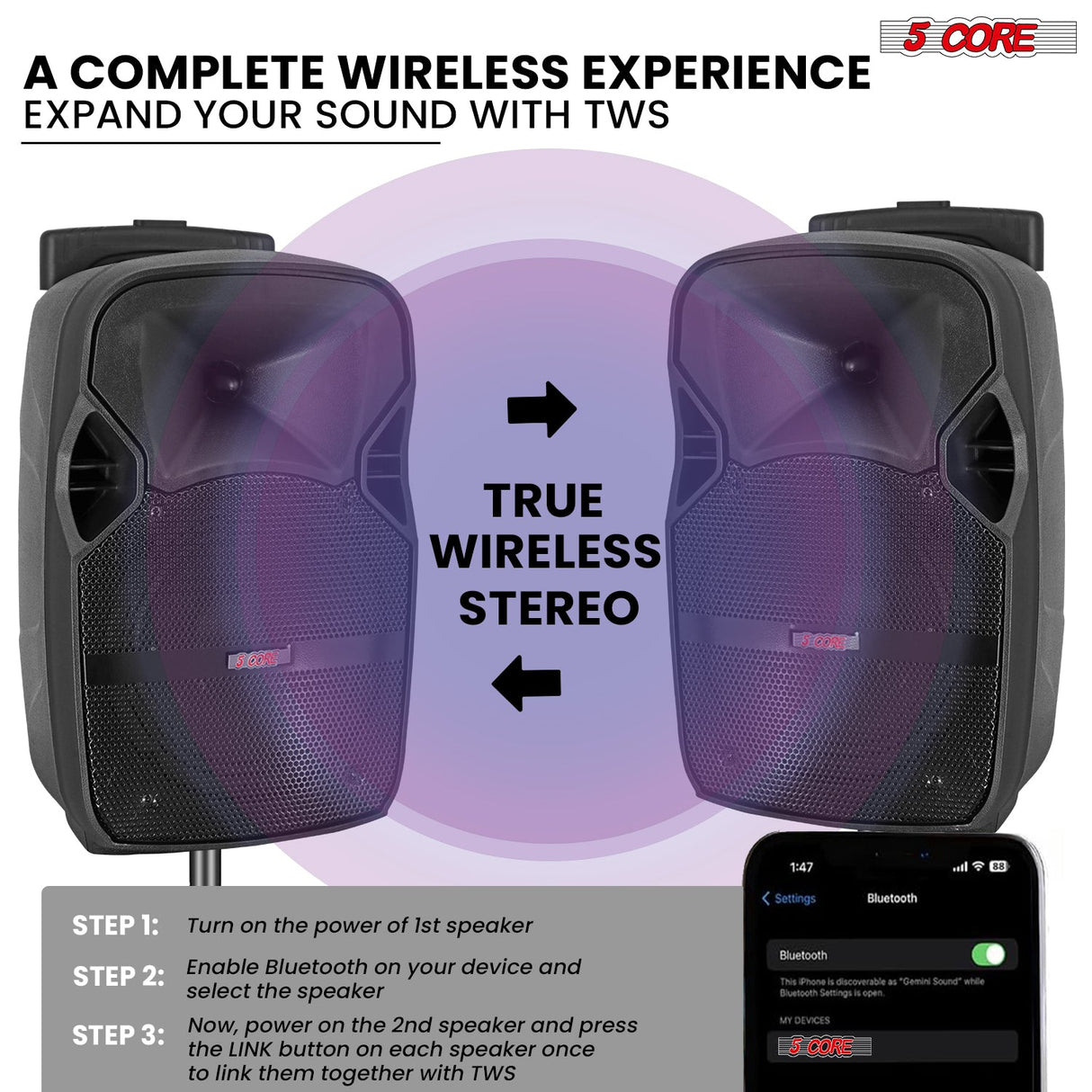 5Core 10 inch PA Portable Bluetooth Party Speaker Karaoke Boombox + 2 Wireless Mics