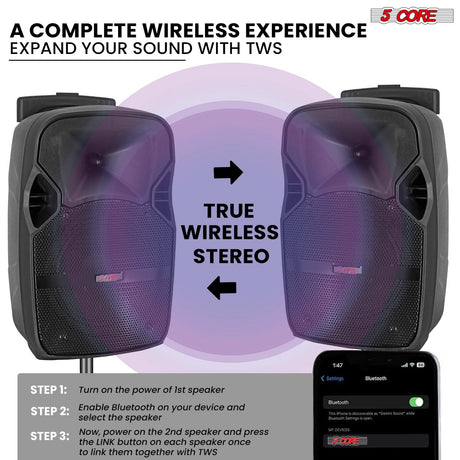 5Core Bluetooth PA speaker set with karaoke function and 2 microphones