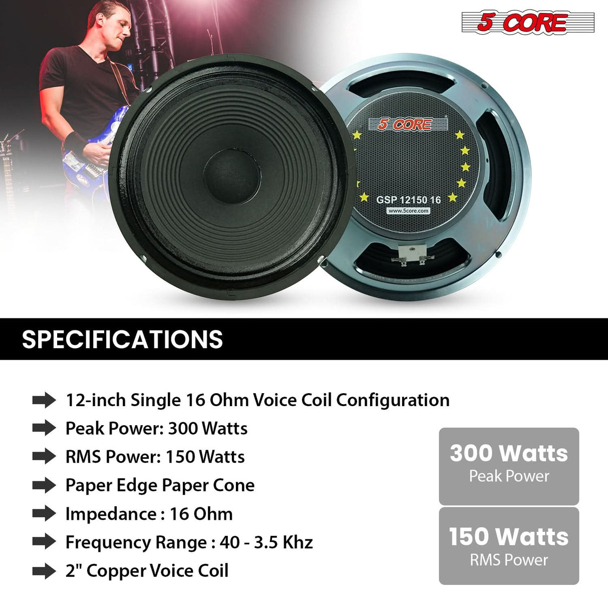 5 Core 12 Inch Guitar Speaker 300W Replacement 16 Ohm Amplifier Cabinet Driver