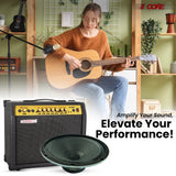 5 Core 10 Inch Guitar Speaker 60W Replacement 16 Ohm Amplifier Cabinet Driver