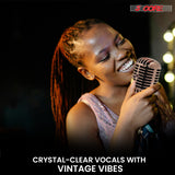 5 Core Retro Dynamic Vocal Iconic Microphone Vintage Style Classic Cardioid Unidirectional Mic