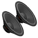 5 Core 15 Inch Subwoofer Speaker Reinforced Cone Close-Up View
